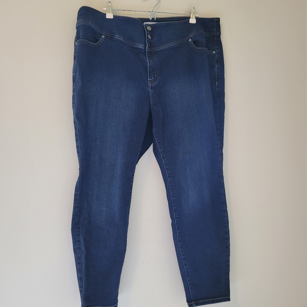 Lane Bryant Dark Wash Hi-Rise Jegging